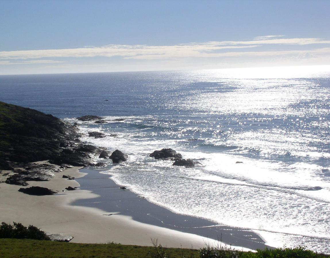Oceanscape Luxury Beachfront Villas Scotts Head Eksteriør bilde